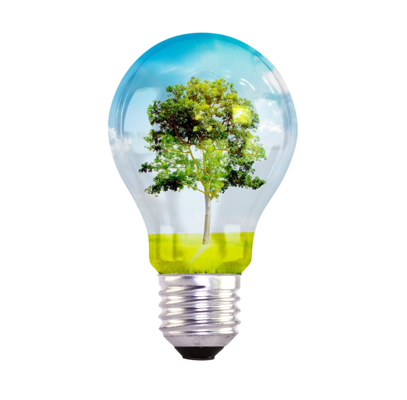 integration of nature and sustainable technology by placing a vibrant tree inside a lightbulb